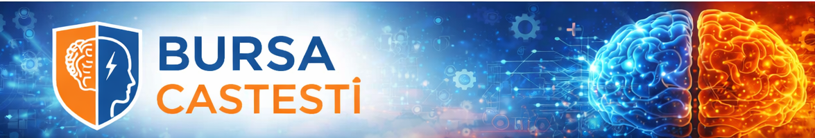 bursacastesti.com